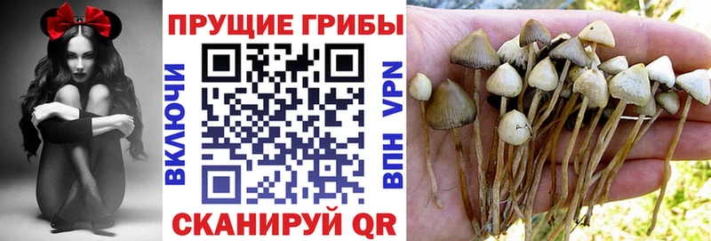 Галлюциногенные грибы ЛСД  Купить где  Нерчинск 