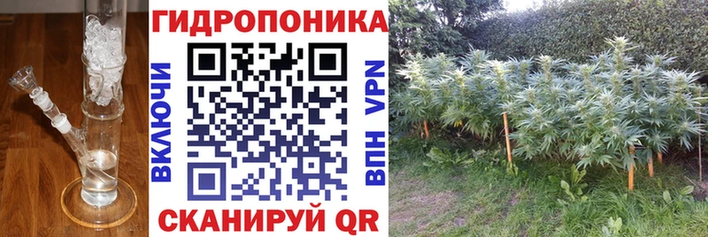 Купить  Нерчинск  Бошки марихуана MAZAR 